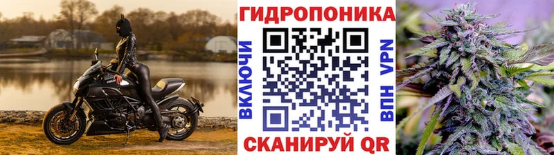 закладки Первомайск Шишки марихуана ГИДРОПОН